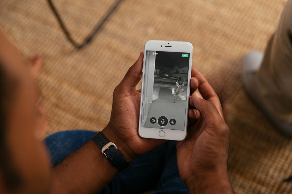 Pella IA security system